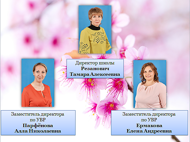Структура и органы управления